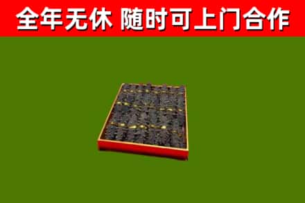 丰顺县回收海参
